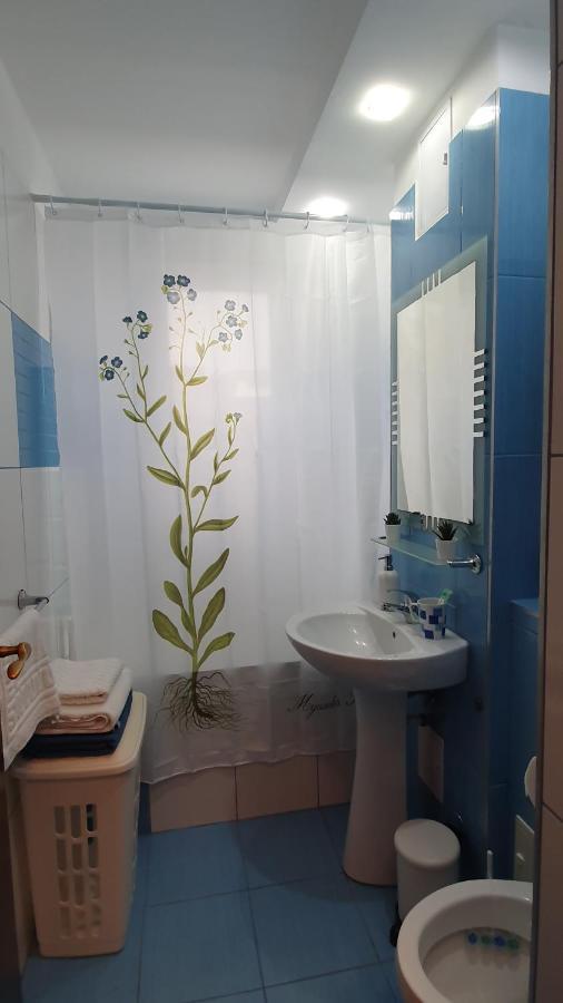 Apartament Cosbuc Μπάια Μάρε Εξωτερικό φωτογραφία